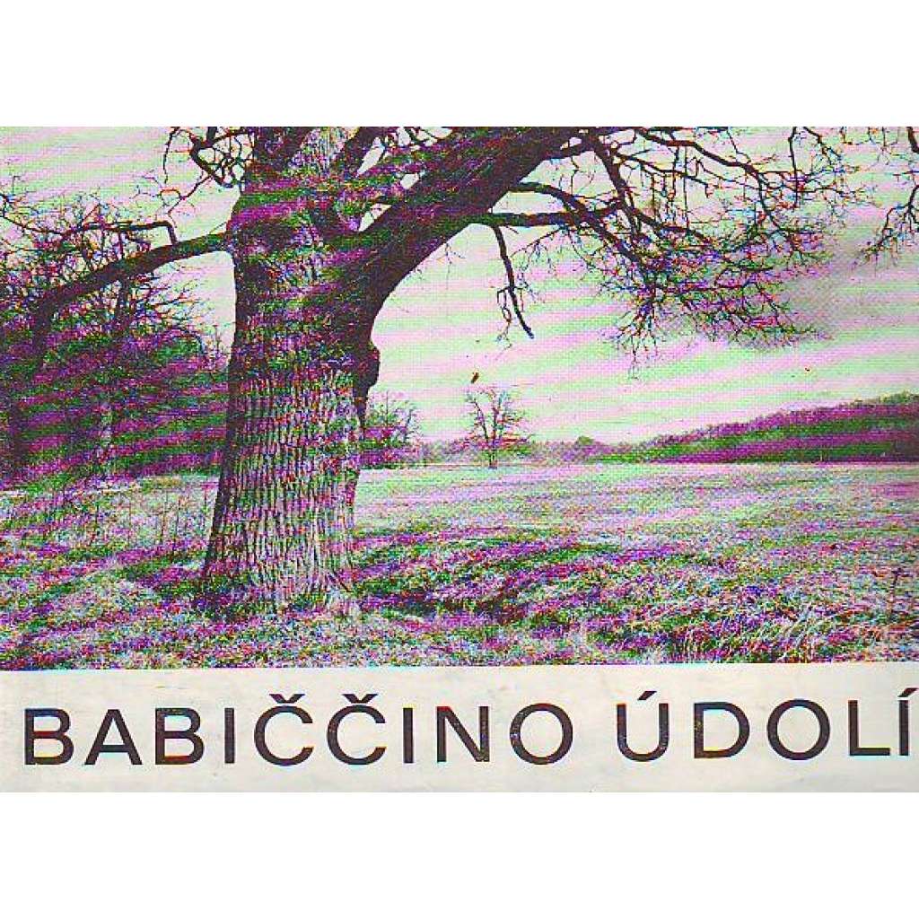 BABIČČINO ÚDOLÍ